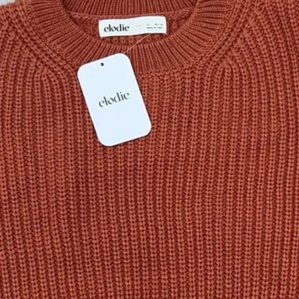 Elodie NWT Women's Rust Crewneck Cropped Long Sleeve Chunky Knit Sweater Large - Picture 1 of 4